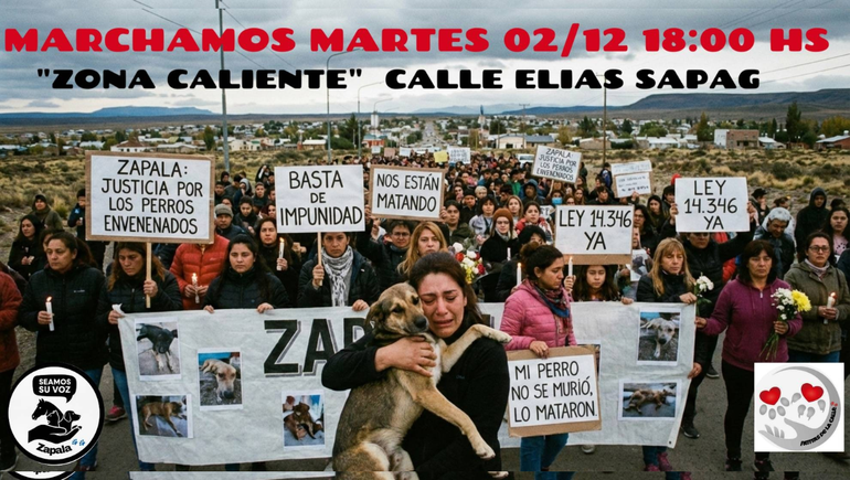 Organizaciones animalistas convocan a una marcha en Zapala por una racha de animales envenenados.