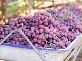 Las pérdidas en la producción en California y Perú, rompieron los equilibrios de precios en los mercados internacionales.