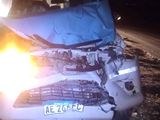 Un auto y una camioneta petrolera chocaron animales sueltos en la Ruta 51