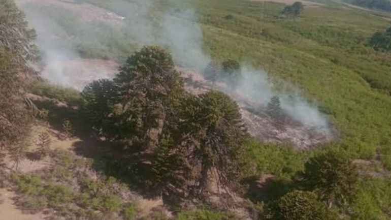 Incendios forestales en Neuquén: alertan por nuevos focos en Valle Magdalena y Ruca Choroi