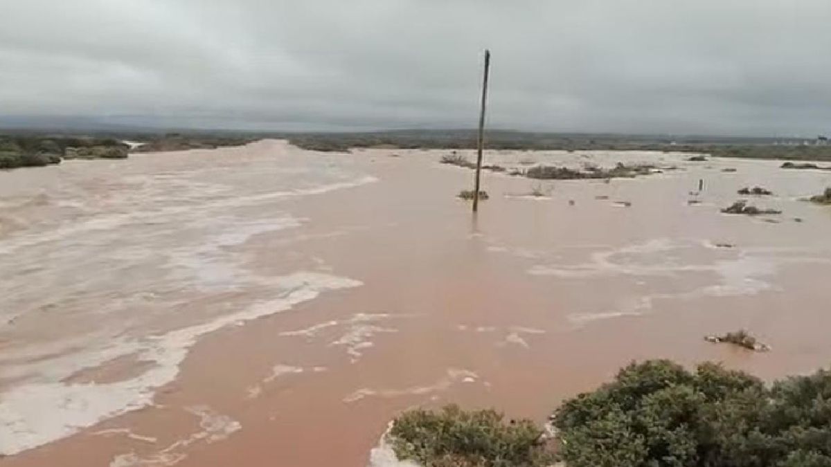 Alerta naranja: se desbordan arroyos y el río Neuquén llega a una marca de peligro