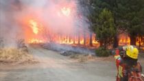 Chubut declaró la Emergencia Ígnea en la zona cordillerana hasta abril de 2026. Chubut declaró la Emergencia Ígnea en la zona cordillerana hasta abril de 2026.