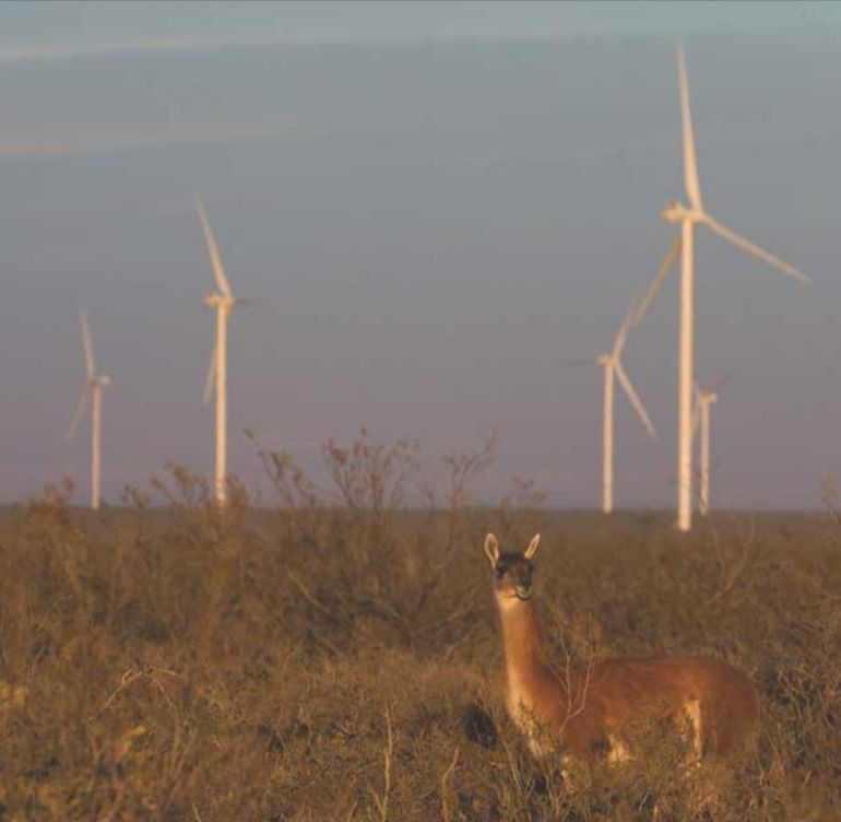 El parque eólico La Flecha, que abastece con enbergía limpia a la planta de Aluar en Puerto Madryn. El parque eólico La Flecha, que abastece con enbergía limpia a la planta de Aluar en Puerto Madryn.