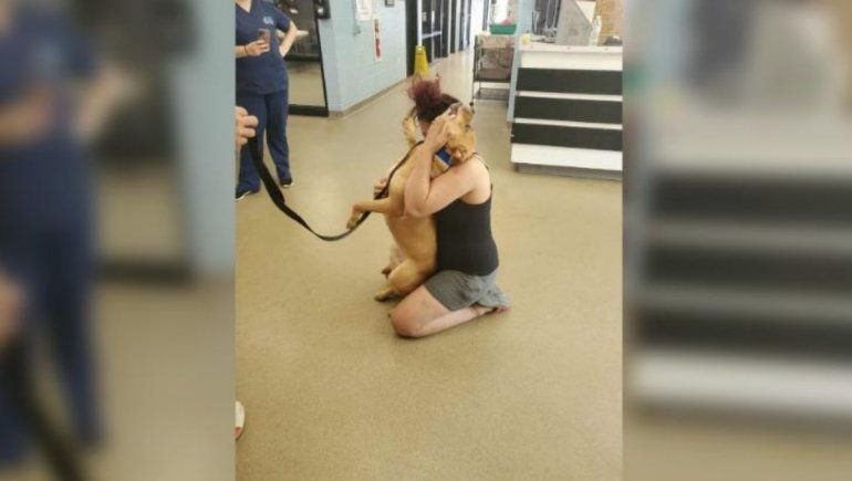 Viral: quería adoptar un perro y se encontró al que perdió hace dos años.