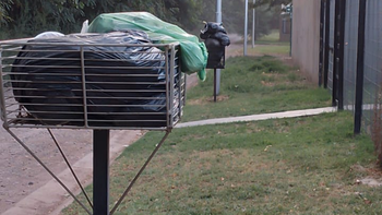 plottier: como es vivir la ola de calor con la basura sin recolectar plottier: como es vivir la ola de calor con la basura sin recolectar