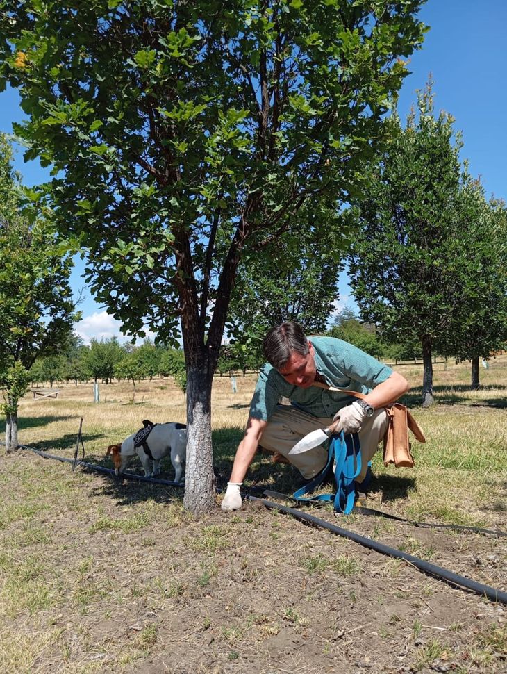 Dejaron la ingeniería tradicional para apostar por un cultivo poco común en uno de los paisajes más desafiantes del país. Dejaron la ingeniería tradicional para apostar por un cultivo poco común en uno de los paisajes más desafiantes del país.