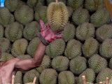 China: importaciones de frutas alcanzaron los u$s 19.500 millones