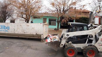 drama en cumelen: la muni intervino por la acumulacion de basura y rescataron a 14 perros y gatos