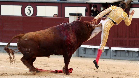 La venganza del toro fue terrible: lo hizo volar de una cornada