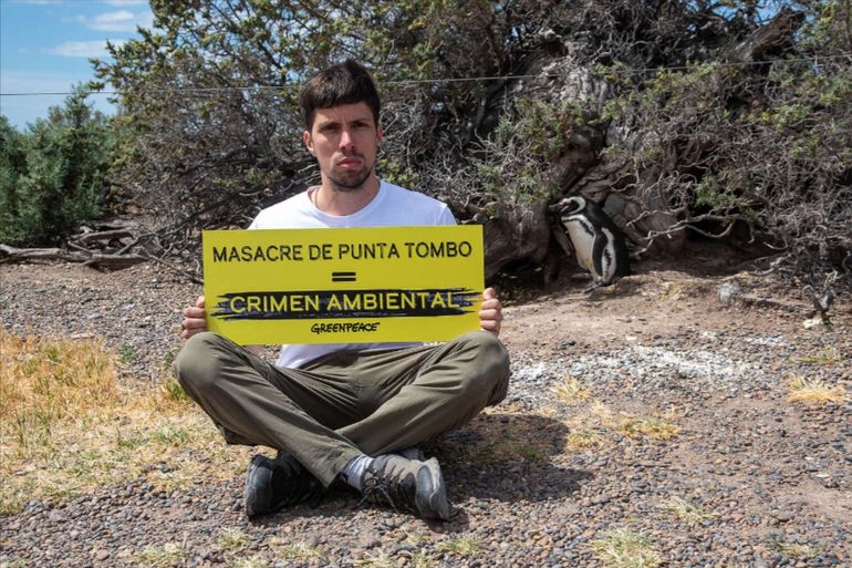 Greenpeace Argentina fue una de las organizaciones civiles que se presentó como querellante en la causa por la muerte de pingüinos en Punta Tombo. Greenpeace Argentina fue una de las organizaciones civiles que se presentó como querellante en la causa por la muerte de pingüinos en Punta Tombo.