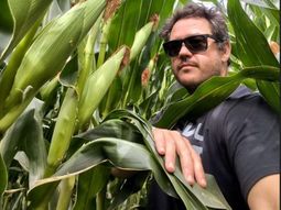 de 8.000 a 17.500 kilos por hectarea: la apuesta al maiz de rio negro de 8.000 a 17.500 kilos por hectarea: la apuesta al maiz de rio negro