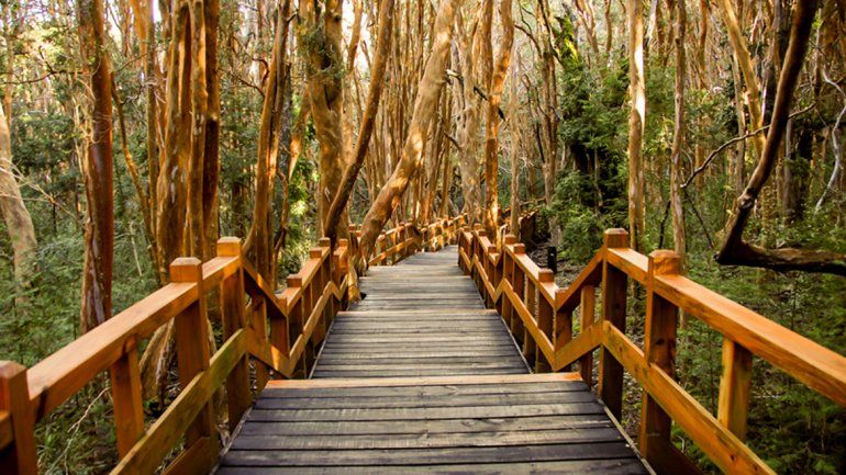 Cierran los accesos a Parques Nacionales por alerta meteorológico