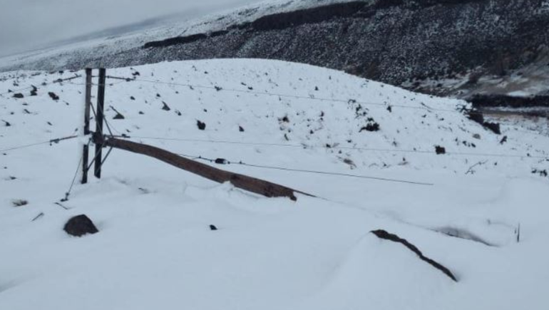 Se estima que cayeron cerca de 50 postes de luz en distintas localidades del norte neuquino. Se estima que cayeron cerca de 50 postes de luz en distintas localidades del norte neuquino.