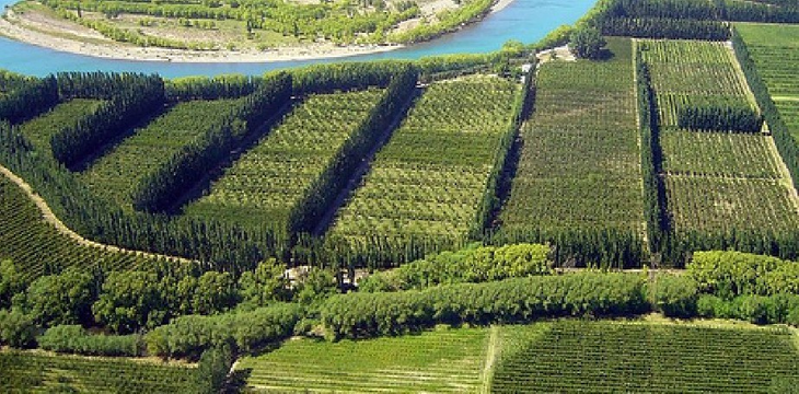 La producción primaria resiste. La producción primaria resiste.