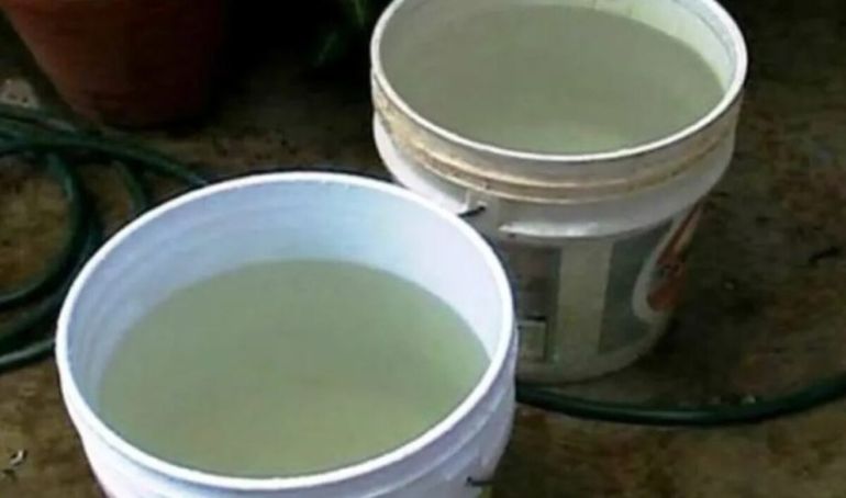 La madre del bebé fue quien lo encontró con la cabeza sumergida dentro de un tacho de 20 litros.
