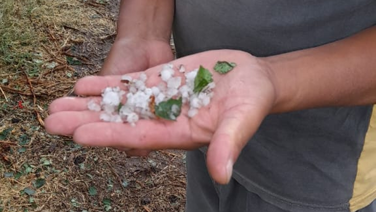 La tormenta llegó con fuerte granizo en la región: Arrasó con todo