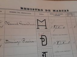 Neuquen ha otorgado 5.000 marcas. Foto: gentileza. Neuquen ha otorgado 5.000 marcas. Foto: gentileza.