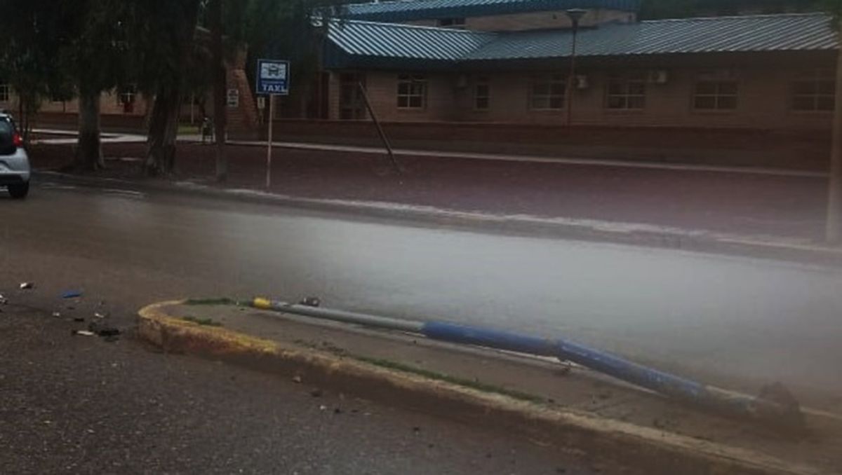 Otra vez un borracho en Centenario: chocó un poste de luz