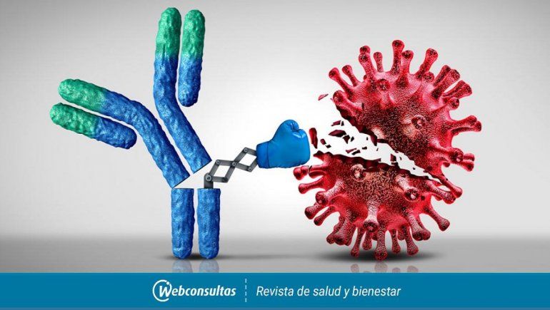 Cada nuevo ensayo sobre los anticuerpos monoclonales ofrecen mejores resultados para la lucha contra el coronavirus.