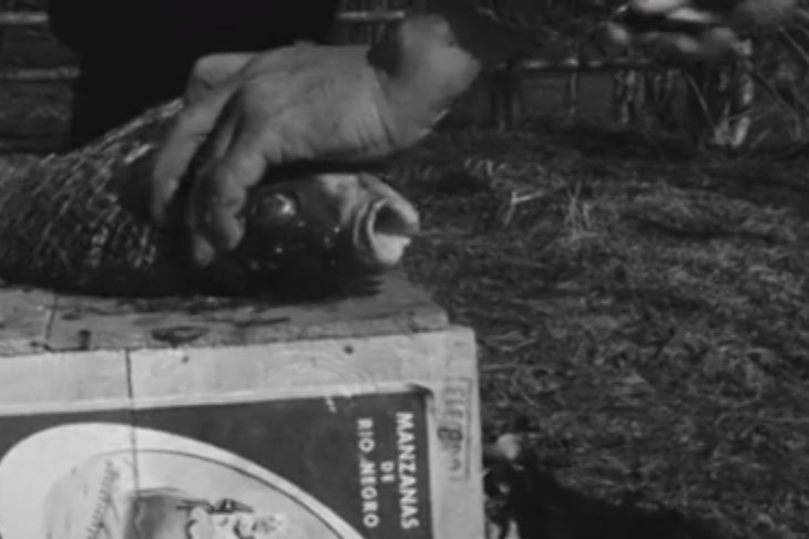 Escena de la serie “Ocho Disparos Mortales”, extraída de la plataforma digital mubi.com Escena de la serie “Ocho Disparos Mortales”, extraída de la plataforma digital mubi.com