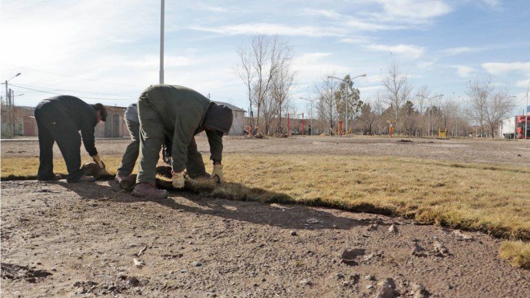 Los operarios colocaron rollos de césped para embellecerla.