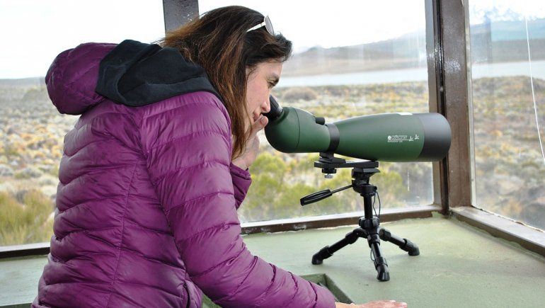 Laguna Blanca está a pleno con el avistaje de sus aves