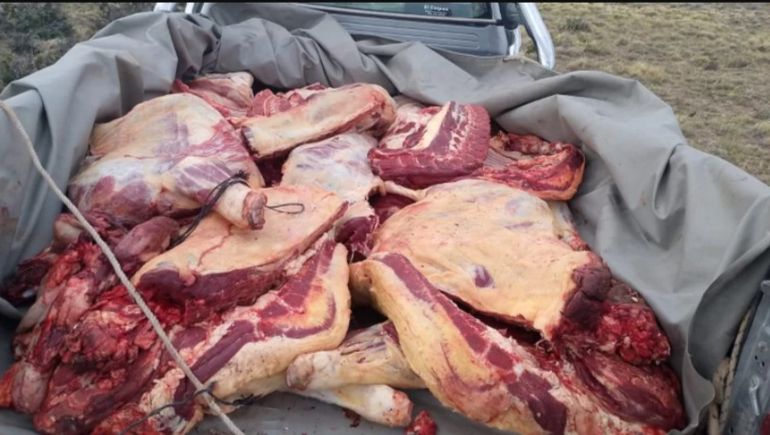 La policía contabilizó en la caja de la Toyoa Hillux 12 paletas con costillas, 12 cuartos y seis lenguas de bovino. La policía contabilizó en la caja de la Toyoa Hillux 12 paletas con costillas, 12 cuartos y seis lenguas de bovino.