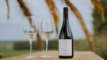 neuquen celebra el dia mundial del pinot noir con una noche unica: gastronomia, bodegas y musica en vivo neuquen celebra el dia mundial del pinot noir con una noche unica: gastronomia, bodegas y musica en vivo