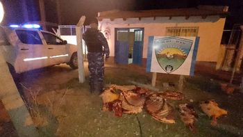 iba a cipolletti con 100 kilos de carne escondidos en la camioneta: decomisaron todo iba a cipolletti con 100 kilos de carne escondidos en la camioneta: decomisaron todo