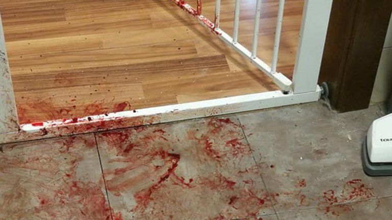 Tristísimo: el viral que muestra la desesperación de una perra, asustada por la pirotecnia