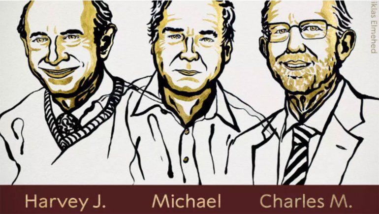 Nobel de Medicina para tres investigadores que descubrieron el virus de la hepatitis C