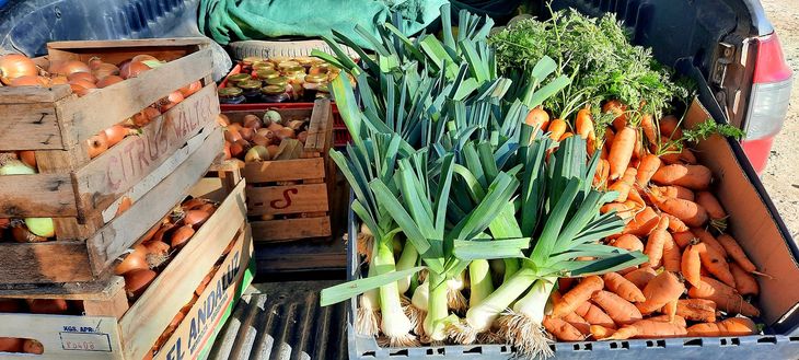 El emprendimiento comenzó hace 6 años. Foto: gentileza El emprendimiento comenzó hace 6 años. Foto: gentileza
