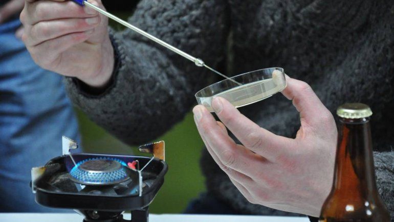 Estudiantes de Biología temen recibirse sin completar las prácticas de laboratorio.visibility