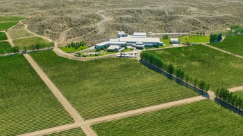 Bodega Schroeder, una de las bodegas emblemáticas de la Patagonia. Bodega Schroeder, una de las bodegas emblemáticas de la Patagonia.