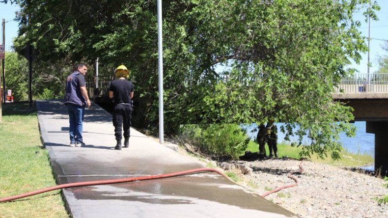 El fuego debajo del puente de Linares afectó la Isla 132: está sin gas ni luz