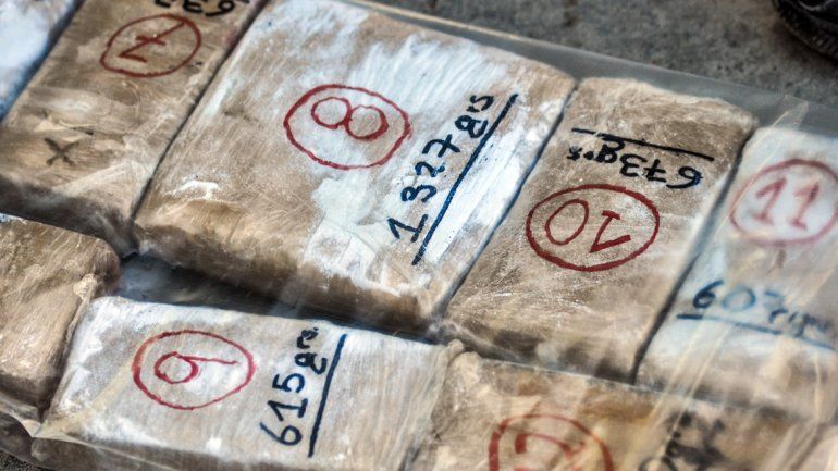 Histórico golpe al narcotráfico en Neuquén: secuestraron casi una tonelada de marihuana