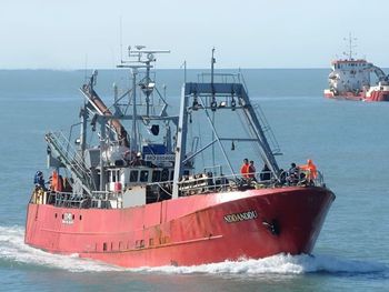 Descarte ilegal: barcos arrojan toneladas de merluza al mar para priorizar el calamar por su valor.