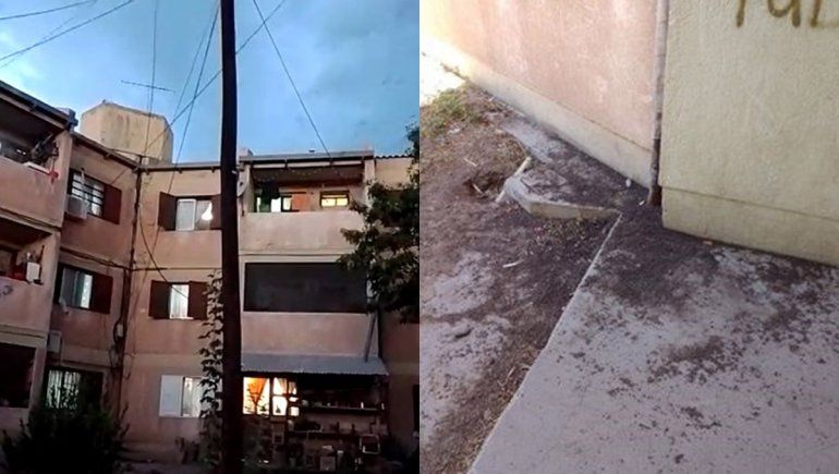 Invasión desagradable: vecinos están hartos de los murciélagos