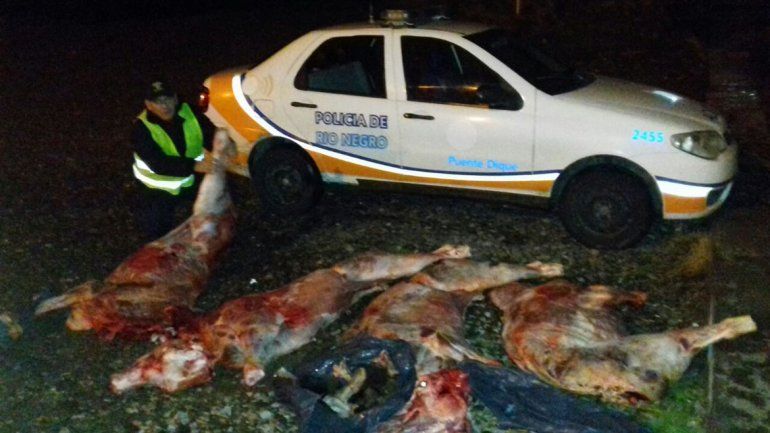 Le decomisaron 600 kilos de carne a un petrolero en Catriel