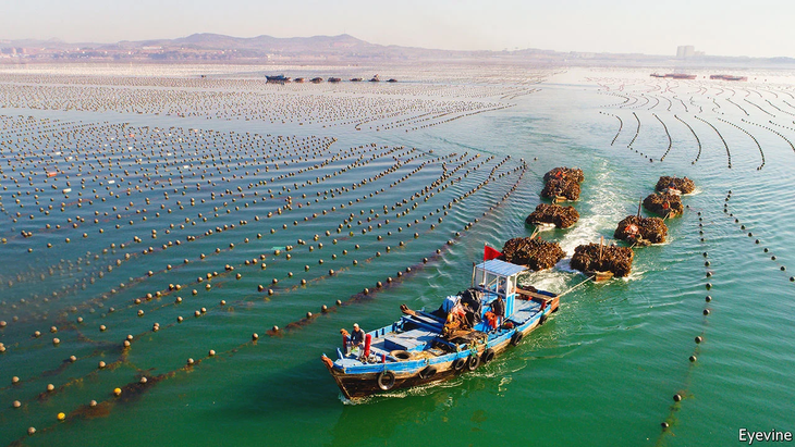 China ha promovido modernizar y diversificar la producción marina, integrando a las comunidades pesqueras tradicionales en una economía más inclusiva y resiliente. China ha promovido modernizar y diversificar la producción marina, integrando a las comunidades pesqueras tradicionales en una economía más inclusiva y resiliente.