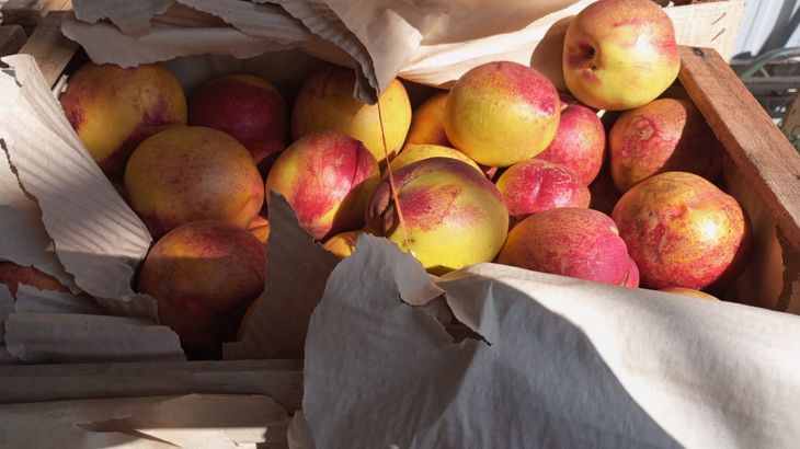 La carga fue rechazada, intent&oacute; ingresar por otra v&iacute;a y termin&oacute; decomisada por SENASA.