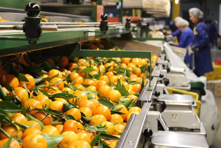 Los productores de España fueron los más críticos del nuevo tratado que baja los aranceles a cero para la oferta de Sudáfrica. Los productores de España fueron los más críticos del nuevo tratado que baja los aranceles a cero para la oferta de Sudáfrica.