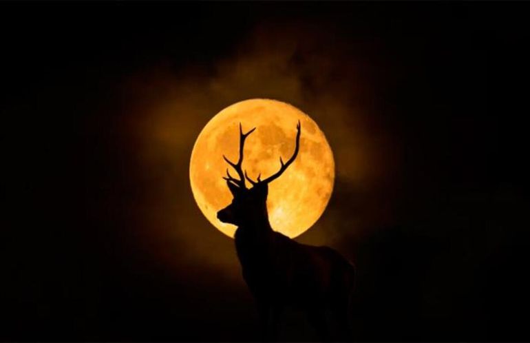 Calendario lunar de julio de 2025: cuándo es cada fase y qué día es la Luna del Ciervo