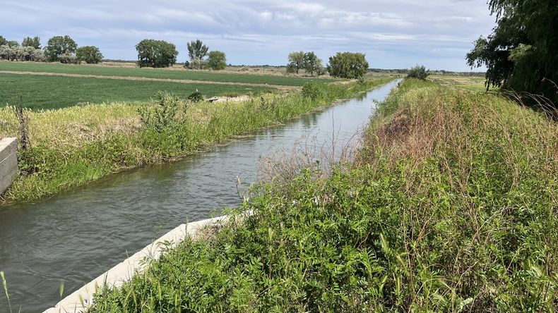 El DPA anunció el primer canal en Pomona para llevar agua a 37.000 has de Colonia Josefa. La licitación se espera para el primer semestre de 2026.