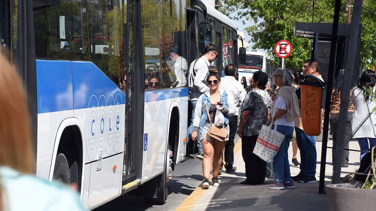 Subsidio al transporte público: AMBA recibió $48 mil por habitante contra $1500 por cada neuquino