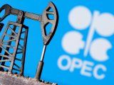 Foto de archivo del logo de la OPEP. Abril 14, 2020. REUTERS/Dado Ruvic/Illustration