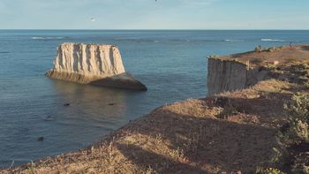 Comodoro Rivadavia: desde un acantilado, tiraron ocho cachorritos para que murieran. Comodoro Rivadavia: desde un acantilado, tiraron ocho cachorritos para que murieran.