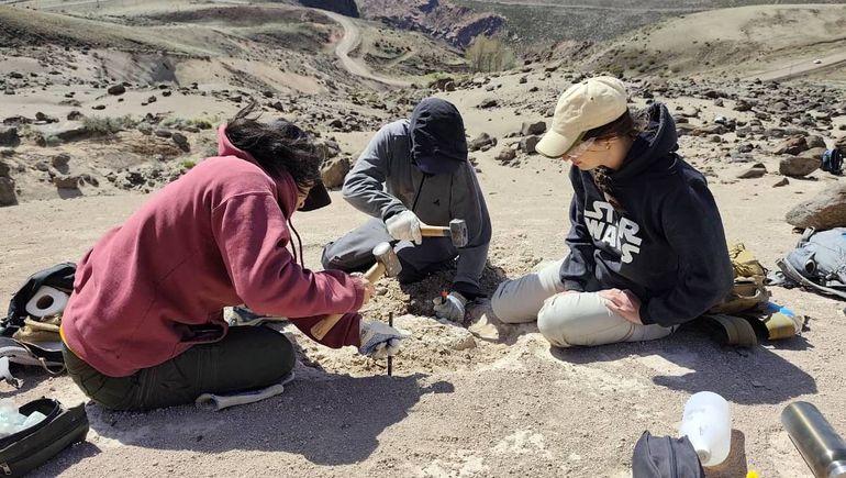 Salió a hacer trekking y descubrió fósiles de mamíferos extintos nunca hallados en el norte neuquino