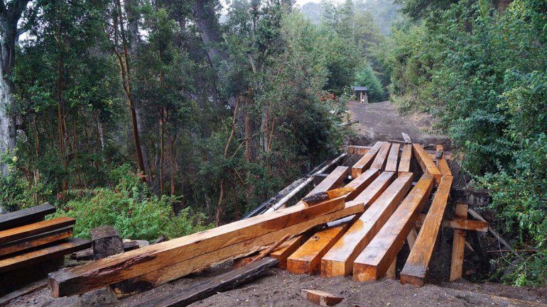 El puente y los árboles talados.