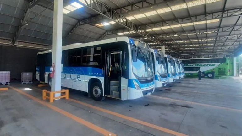 Tigre Iguazú brindará el servicio de colectivos entre Neuquén y Las Perlas